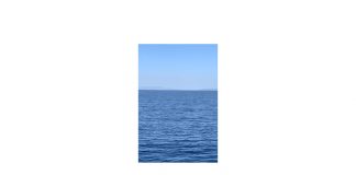 kit-u-jadranskom-moru