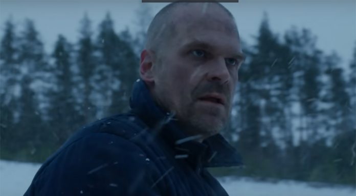nikola-djuricko-stranger-things