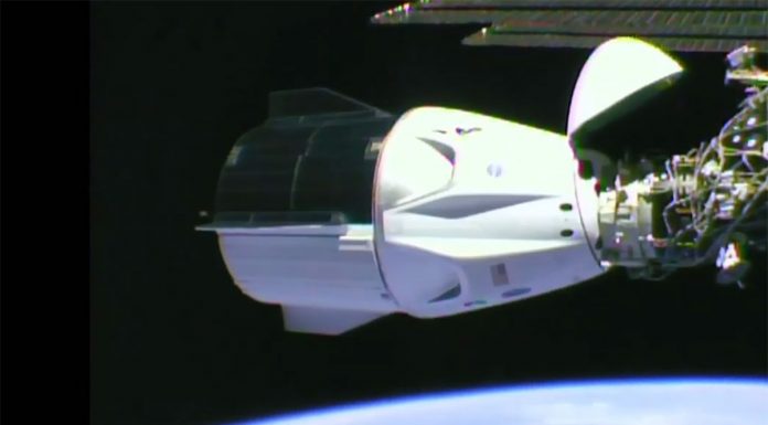 kapsula-dragon-spacex