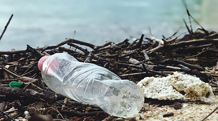 plasticne-flase-od-biljaka