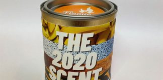 kako-mirise-2020-godina