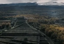 piratski-filmovi (1)