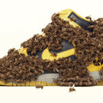nike-patike-leto-2024